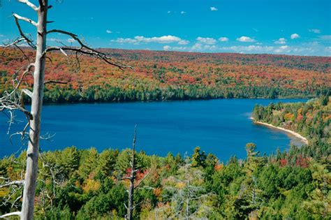 Algonquin Provincial Park Canada Must Go 2 Giuze Photography