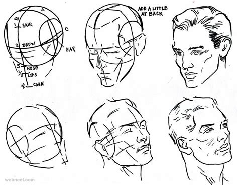 Male Face Drawing Tutorial How To Draw Anime Face Male Side Profile