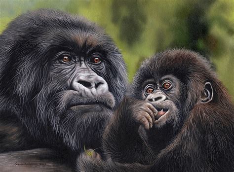 Gorilla And Baby Painting By Sarah Stribbling Fine Art America