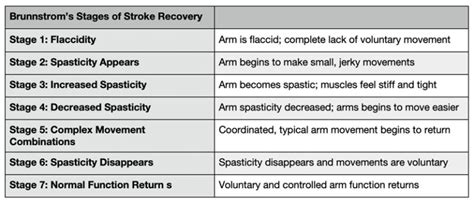 Brunnstrom Stroke Recovery Theory Digram Trio Rehabilitation