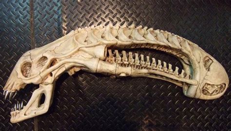 It would be, except the avp franchise was already in the works before the skull appeared. Badass ALIEN Skull Replica from PREDATOR 2 — GeekTyrant