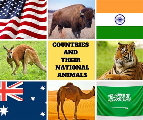 Top 116 National Animals Of Countries