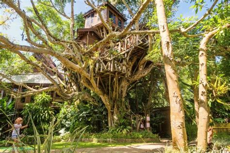 Treehouse Pai Treehouse Ubytování A Pohled World Travel Je