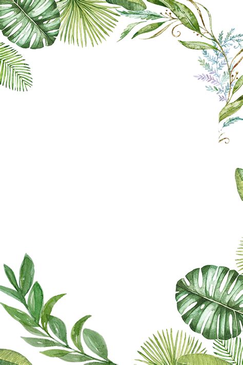 Jungle Clipart Frame Jungle Frame Transparent Free For Download On