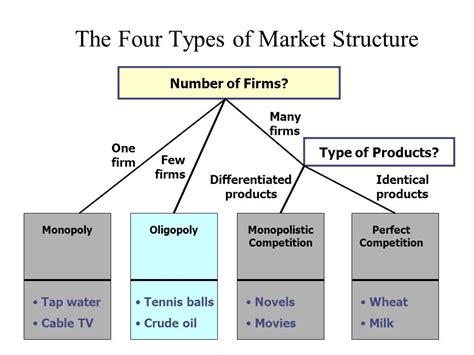 The Four Major Types Of Market Structure Symphysis