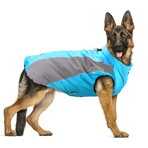 Dog Coats For Large Dogs Winter Waterproof Jacket Warm Padded Clothes