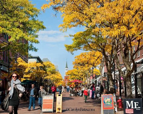 The 15 Best Things To Do In Burlington Updated 2024