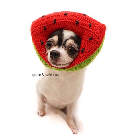 Watermelon Hat Watermelon Crochet Amigurumi Fruit Dog Hat Etsy