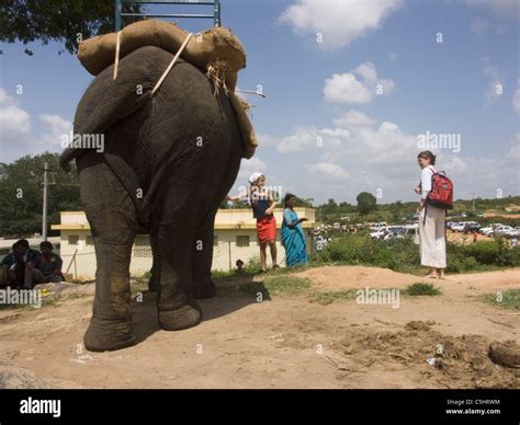 Tourists On Elephant Ride Outside Of Zoo In Bangalore India Stock