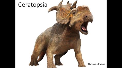 marginocephalia ii ceratopsia youtube