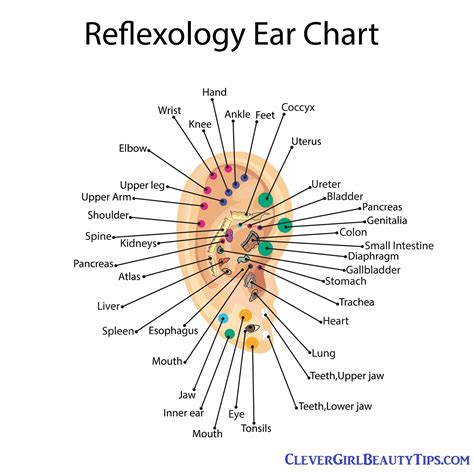 Pressure Points To Relieve Pressure In Ears