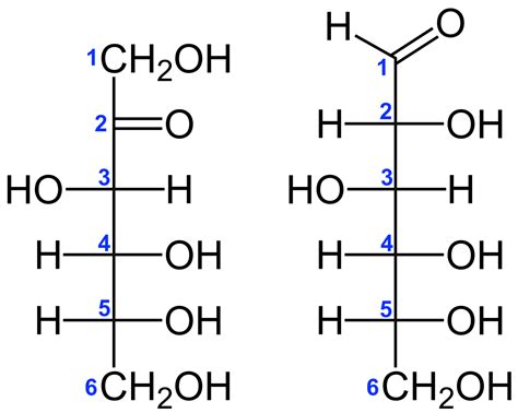 Filed Fructose Vs D Glucose Structural Formulae V1svg Wikimedia