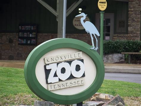 Knoxville Tn Zoo Knoxville Zoo Outdoor Decor