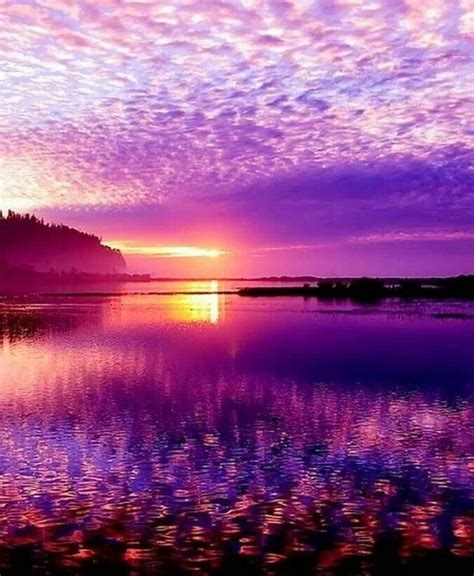 Purple Sunset Beautiful Sky Purple Sunset Beautiful Nature