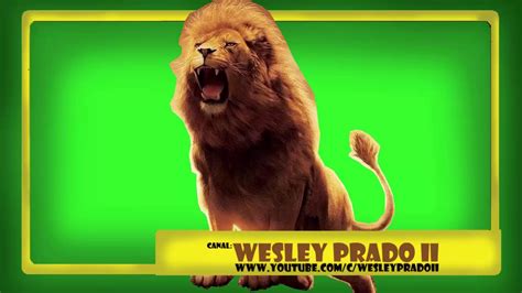 Efeito Sonoro Rugido De Leão Sound Effect Lions Roar Youtube