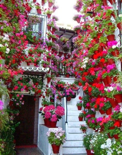 Beautiful Views Floral Stairs