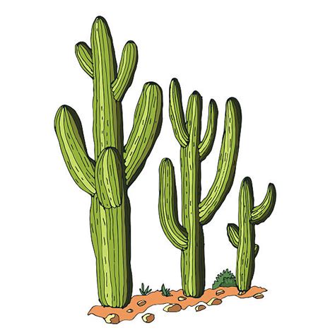 Free Free Saguaro Cactus Svg 142 SVG PNG EPS DXF File