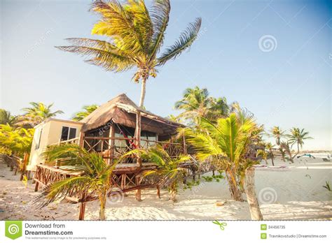 Tropical Beach Bungalow On Ocean Shore Among Palm Royalty