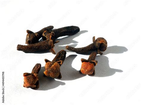 Cloves Spice Dried Buds Of Tropical Clove Tree Syzygium Aromaticum