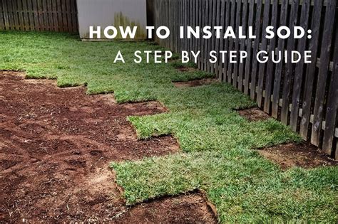 How To Install Sod A Step By Step Guide — Coobs Lawn Care
