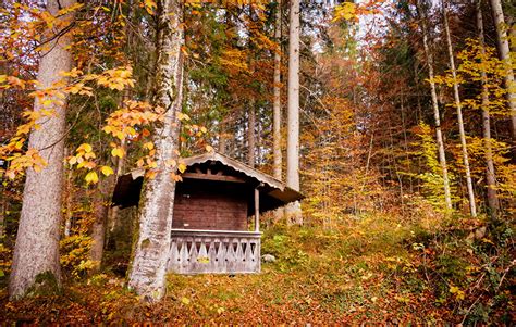 Image Bavaria Leaf Germany Grainau Autumn Nature Forests Trees