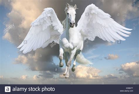 Pegasus In Gallop With Wings Spread Stock Photo Alamy