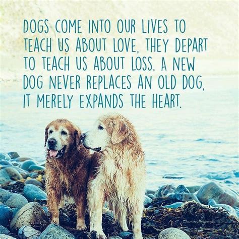 Our bridge to the future must include bridges to other nations, because we remain the world's indispensable nation to advance prosperity, peace and freedom and to keep our own children safe from the dangers of terror and weapons of mass destruction. Rainbow Bridge