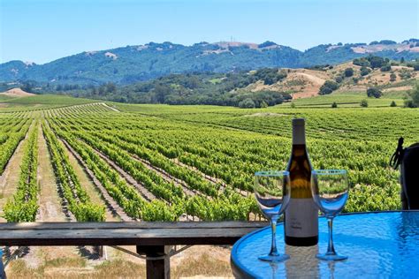 22 Top Sonoma Wineries To Visit Travel Us News