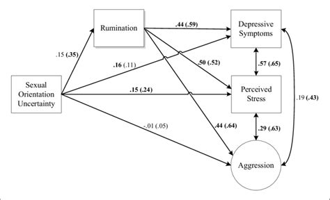 Mediational Model With Rumination Mediating The Associations Between