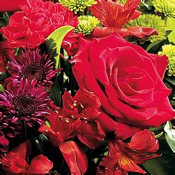 Maybe you would like to learn more about one of these? Flowers for Chinese New Year include azalea, peony and ...
