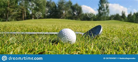 Iron Golf Club And Ball On Green Grass Stock Image Image Of Grass