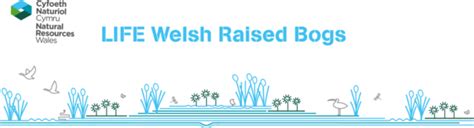 New Life Welsh Raised Bogs Project Newsletter Issue 10