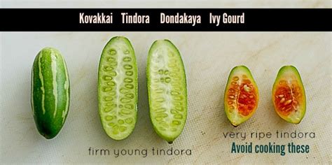 Goes well with raita and curry of your choice. Kovakkai Fry - Dondakaya Vepudu, Kovakkai Fry, Kovakkai ...