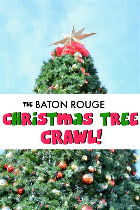 Baton Rouge Christmas Tree Crawl Southern Flair