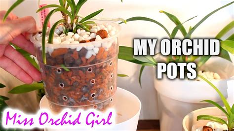 See more ideas about orchid pot, orchids, orchid plants. Orchid pots and containers | Orchid setup explained - YouTube