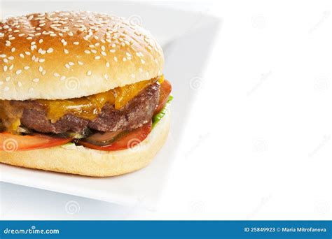 Hamburger On White Plate Stock Image Image Of Tomato 25849923