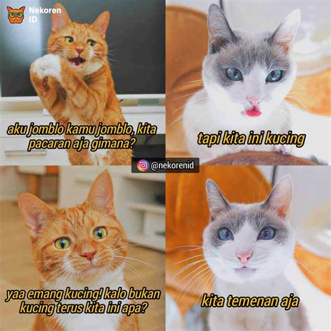 We did not find results for: Nyesek! 10 Meme Kucing Oren ala Sadboy Ini Kocak Sekaligus ...
