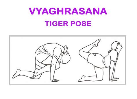 Vyaghrasan Tiger Pose How To Do Benefits Guide Nepal