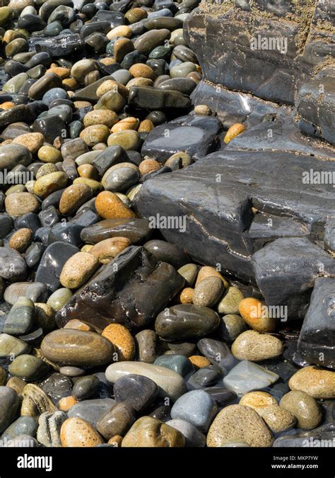 Wet Round Beach Pebbles Stones And Rock Stock Photo Alamy
