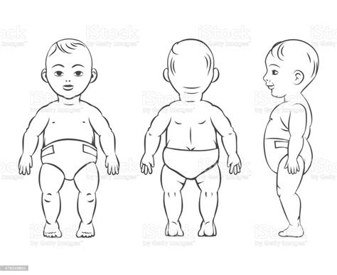 Full length front back human silhouette vector. Baby Figure Front Side And Back View Stock Vector Art & More Images of 2015 479243904 | iStock