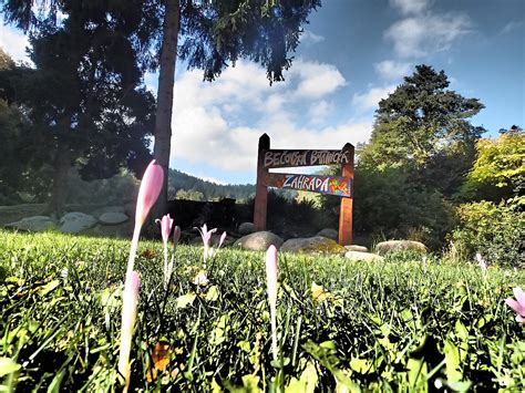 Zobrazte recenze, články a fotografi z botanická zahrada praha na webu tripadvisor. Bečovská botanická zahrada