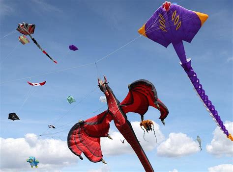 Just 15 Soothing S Of Kites To Calm You Down On National Kite Flying
