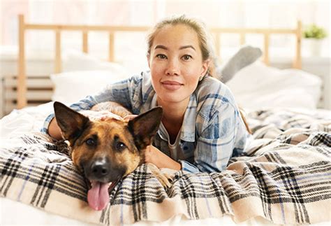 Ein tolles, super hochwertiges hundebett von cloud7. 🥇 Hund oder Katze im eigenen Bett?