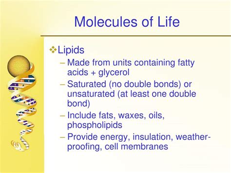 Ppt Molecules Of Life Powerpoint Presentation Free Download Id1178516