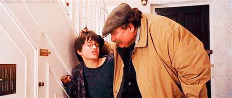 Snape finds out harry is abused fanfictionall software. Was Harry Potter abused? - Quora