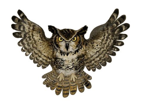 7 Best Free Printable Vintage Halloween Owl - printablee.com