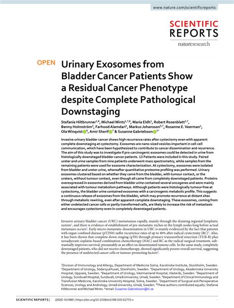 Pdf Urinary Exosomes From Bladder Cancer Patients Show A Residual