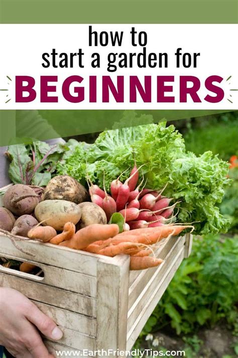 How To Start A Garden For Beginners Earth Friendly Tips