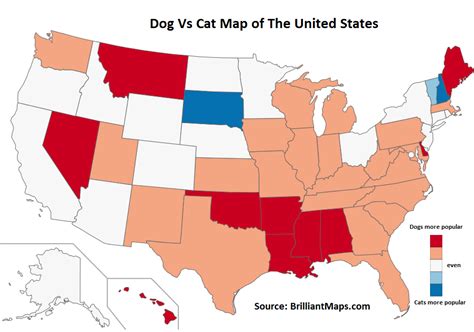 Dog Vs Cat Map Of The United States Popularity By State Brilliant Maps