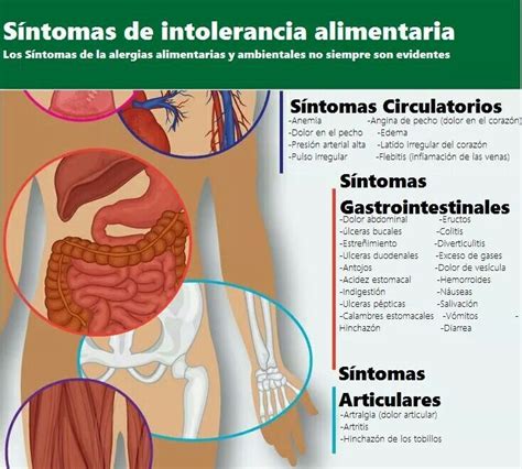 Sintomas De Intolerancia Alimentaria Alergias Alimentarias Intolerancia Alimentaria Salud